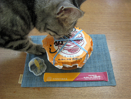 f:id:gogoemipon:20080128130526j:image:w200 f:id:gogoemipon:20080128130526j:image:w200