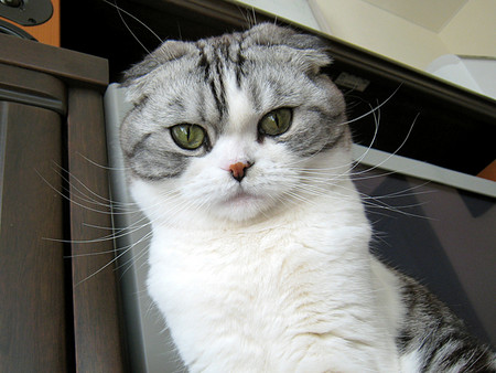 f:id:gogoemipon:20080310171753j:image:w200 f:id:gogoemipon:20080310171753j:image:w200