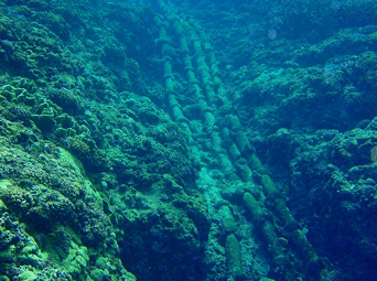 f:id:gogokeiji:20120328223555j:image