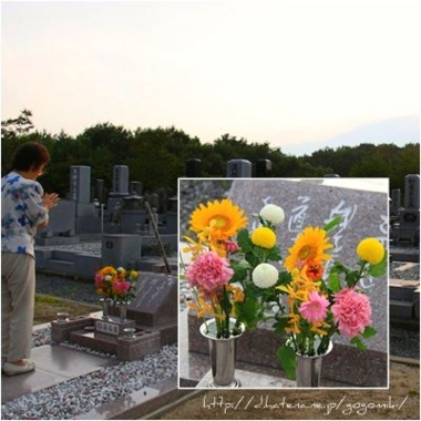 f:id:gogomiki:20100727231253j:image