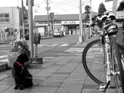 f:id:gogomiki:20101030174229j:image