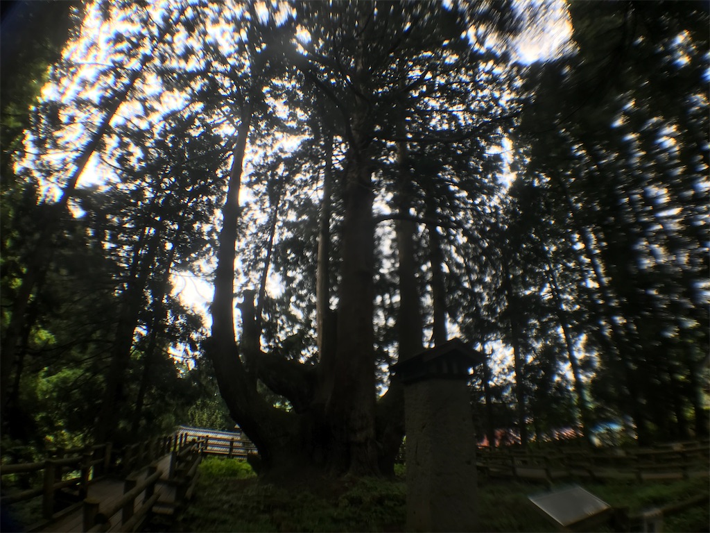 f:id:gogonoyokoana:20210514085305j:image