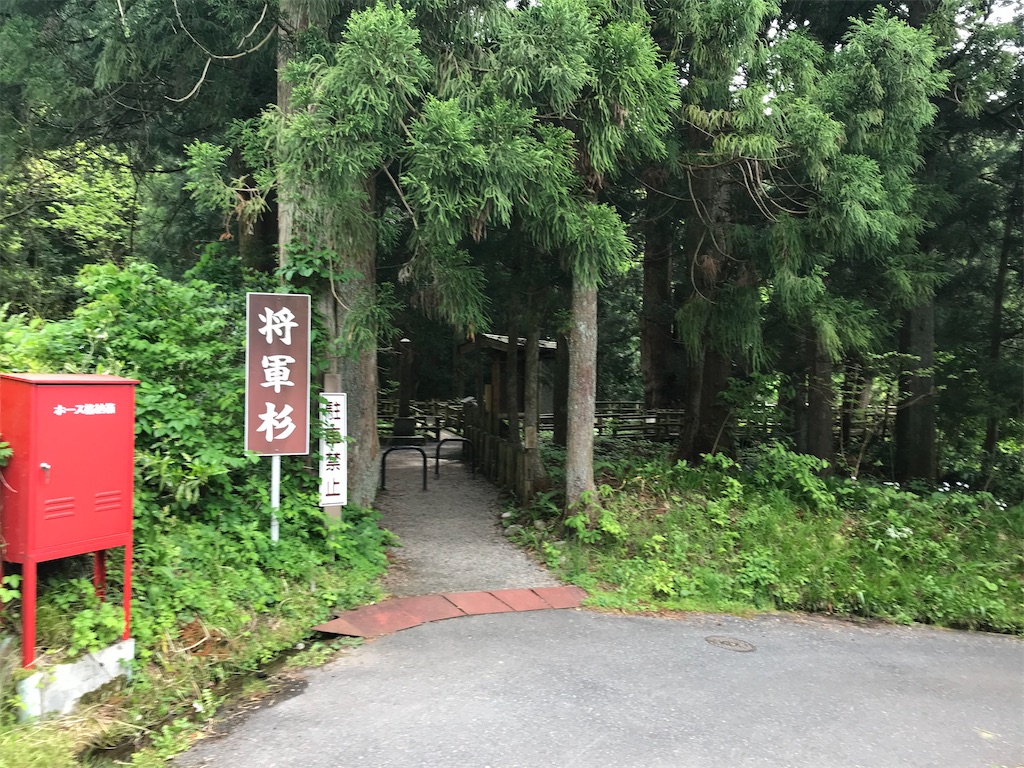 f:id:gogonoyokoana:20210514085318j:image