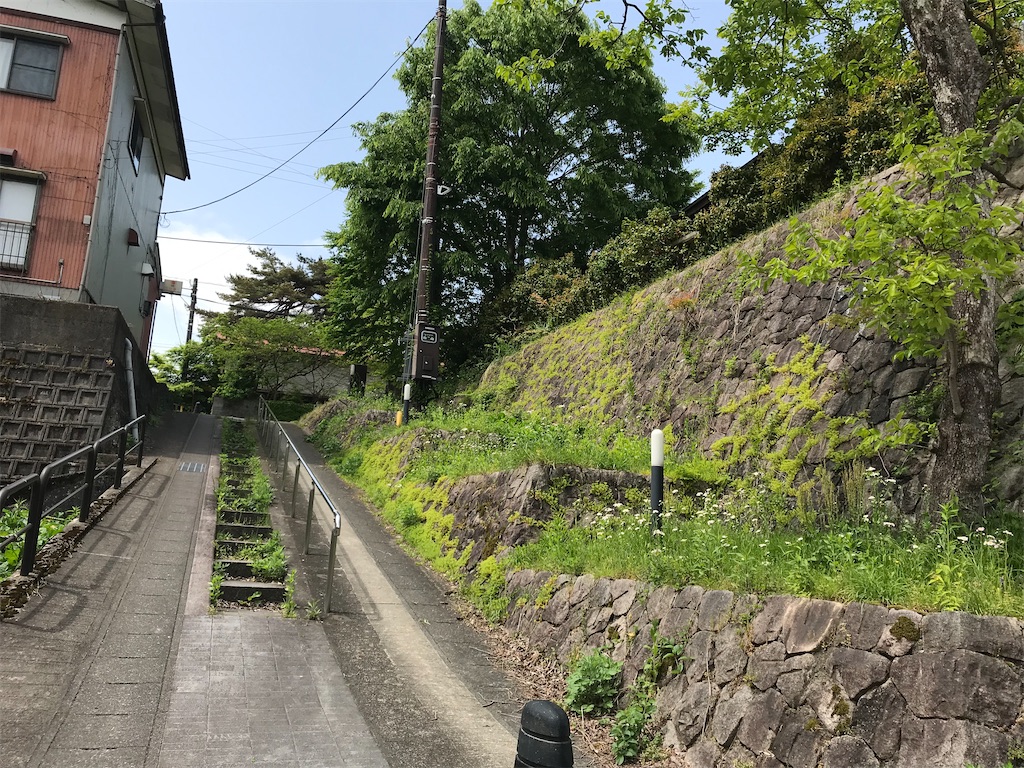 f:id:gogonoyokoana:20210514110708j:image
