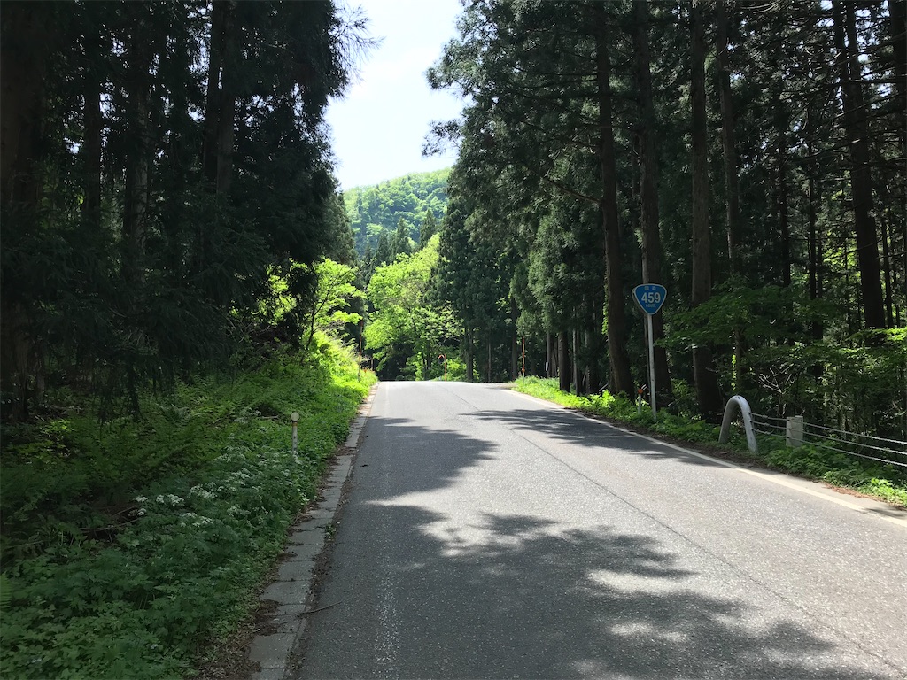f:id:gogonoyokoana:20210514122638j:image