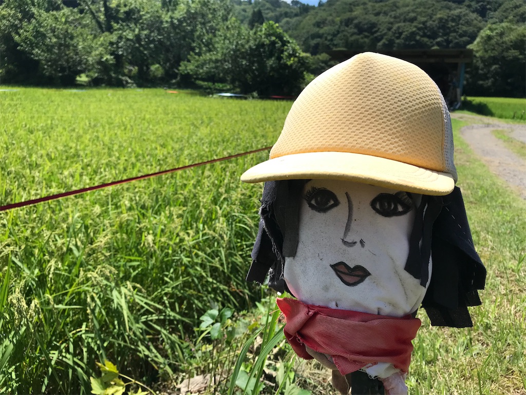 f:id:gogonoyokoana:20210901021500j:image f:id:gogonoyokoana:20210901021500j:image