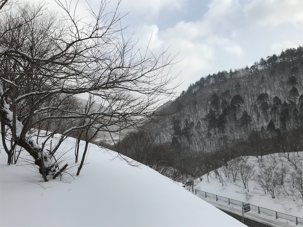 f:id:gogonoyokoana:20220128183513j:image f:id:gogonoyokoana:20220128183513j:image