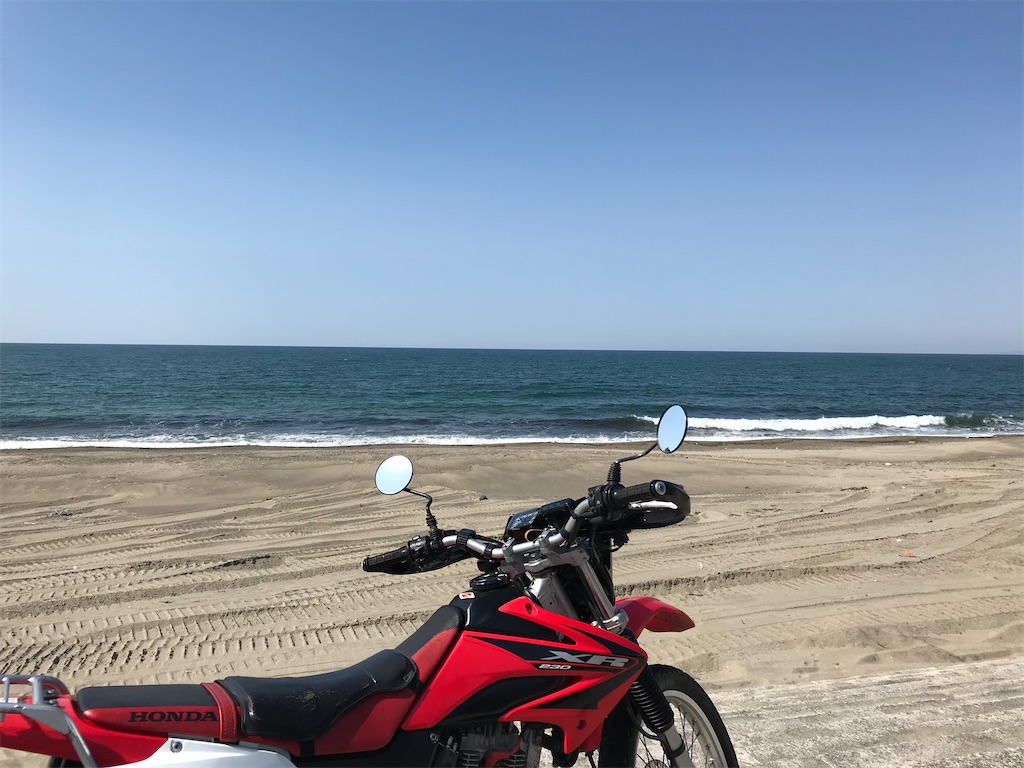 f:id:gogonoyokoana:20220422192105j:image f:id:gogonoyokoana:20220422192105j:image