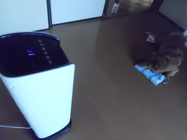 イメージ 1