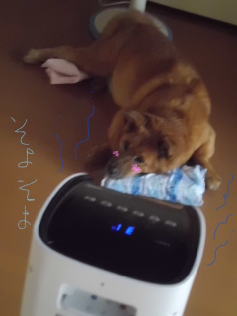 イメージ 2