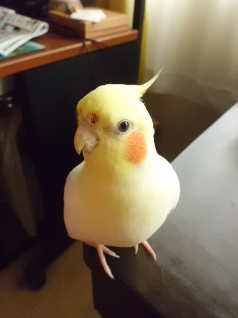 イメージ 1
