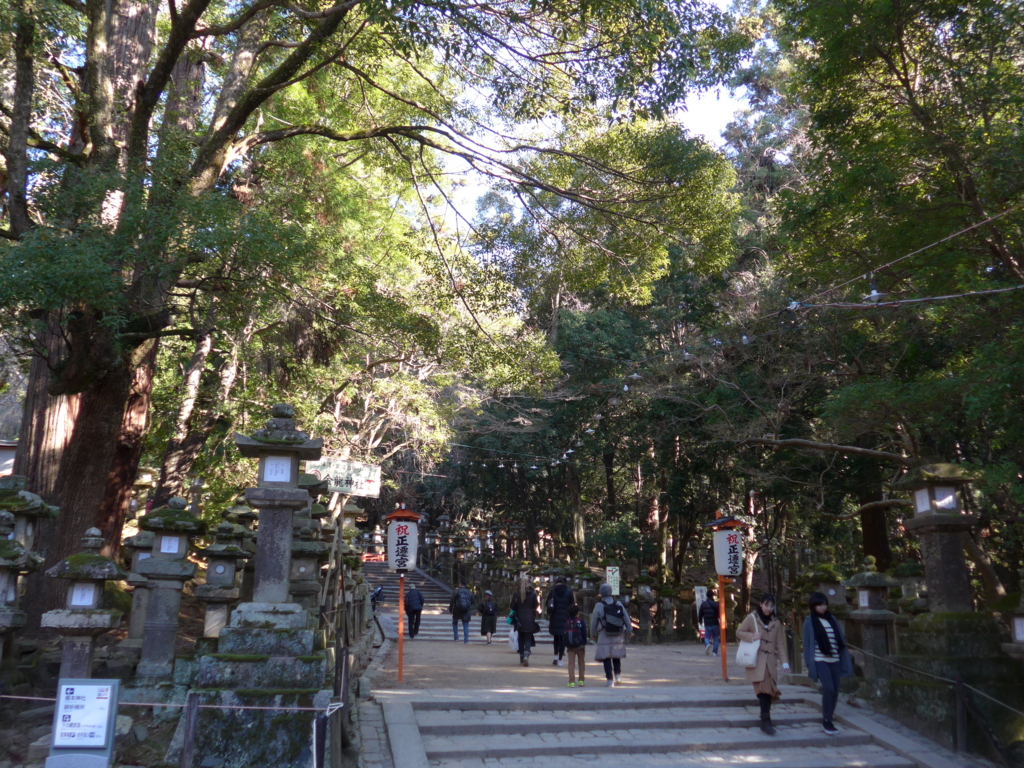 f:id:gogosatoshi55:20170108205204j:plain f:id:gogosatoshi55:20170108205204j:plain