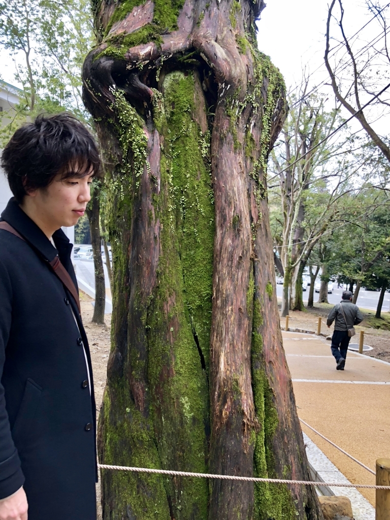 f:id:gogosatoshi55:20180329234753j:plain f:id:gogosatoshi55:20180329234753j:plain