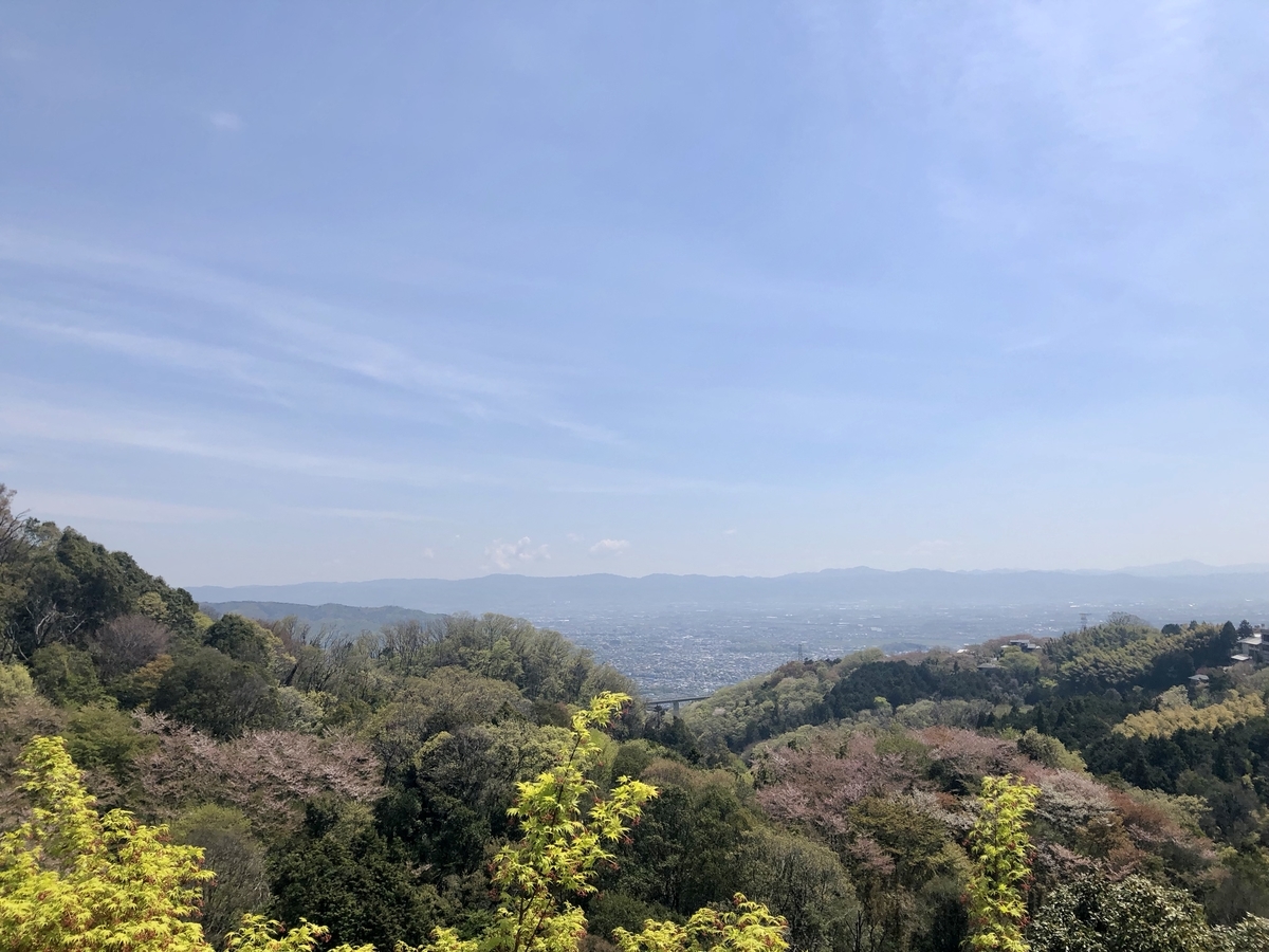 f:id:gogosatoshi55:20190418185011j:plain