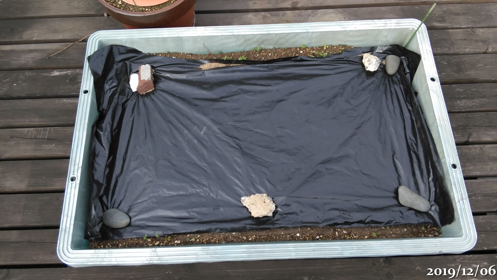 f:id:gogowaten:20191206140323j:plain