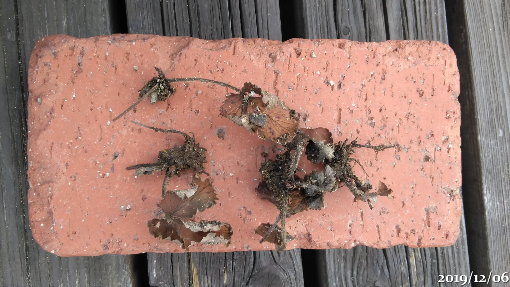 f:id:gogowaten:20191206143509j:plain