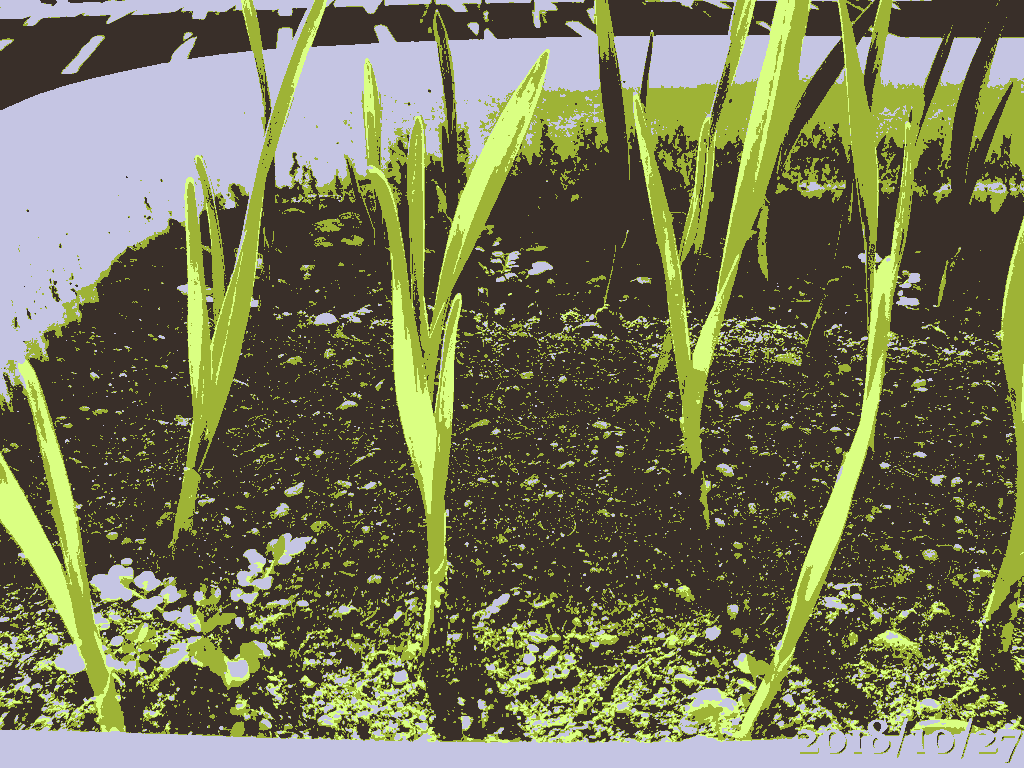 f:id:gogowaten:20191213133901p:plain