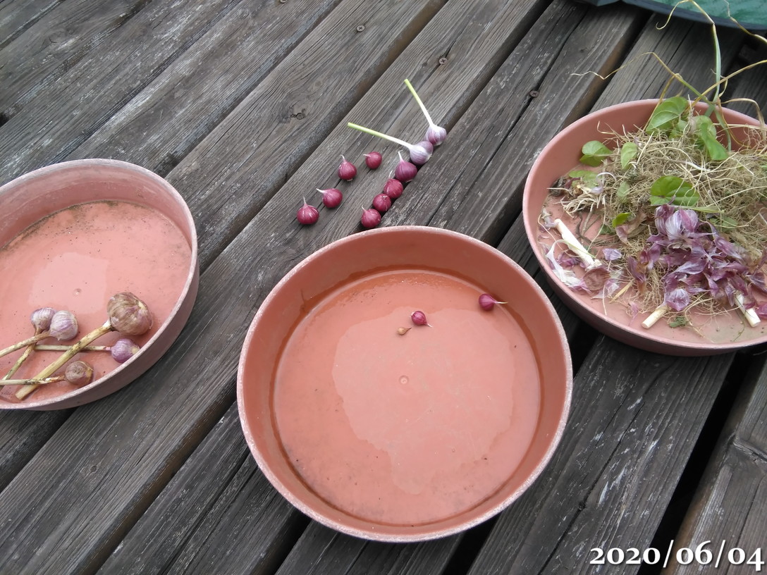 f:id:gogowaten:20200605140659j:plain