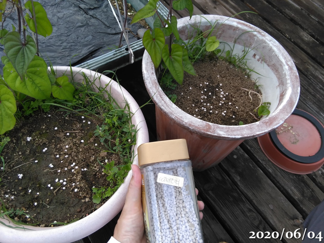 f:id:gogowaten:20200605151243j:plain