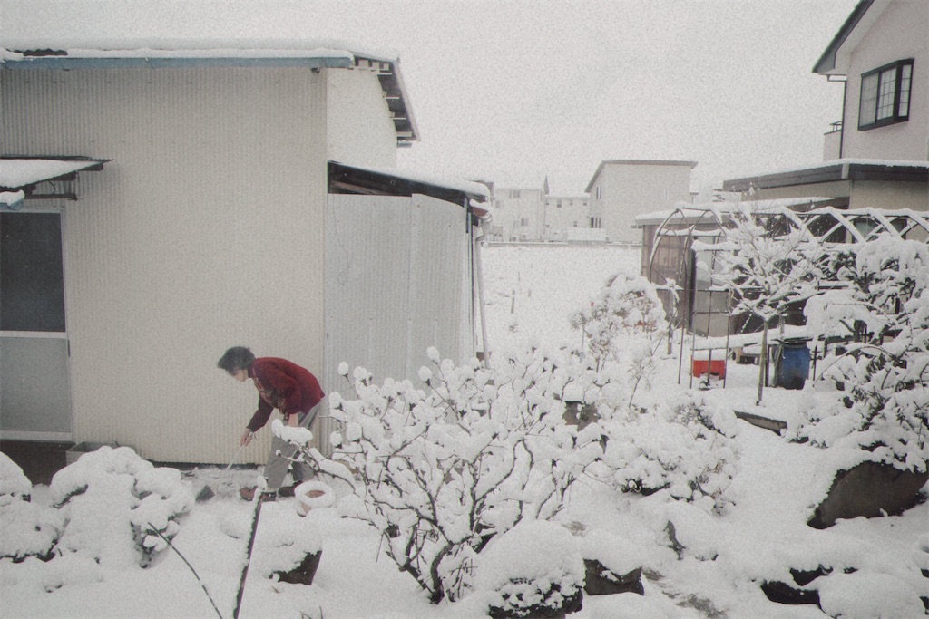 f:id:gohan_morimori:20230708030700j:image f:id:gohan_morimori:20230708030700j:image