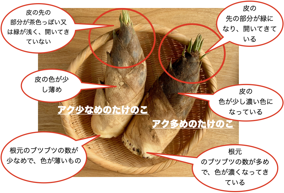 たけのこのアク抜き 基本編 〜たけのこの含め煮〜 - ごはん便り