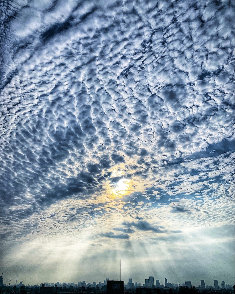 f:id:gohatori:20190825090633j:image