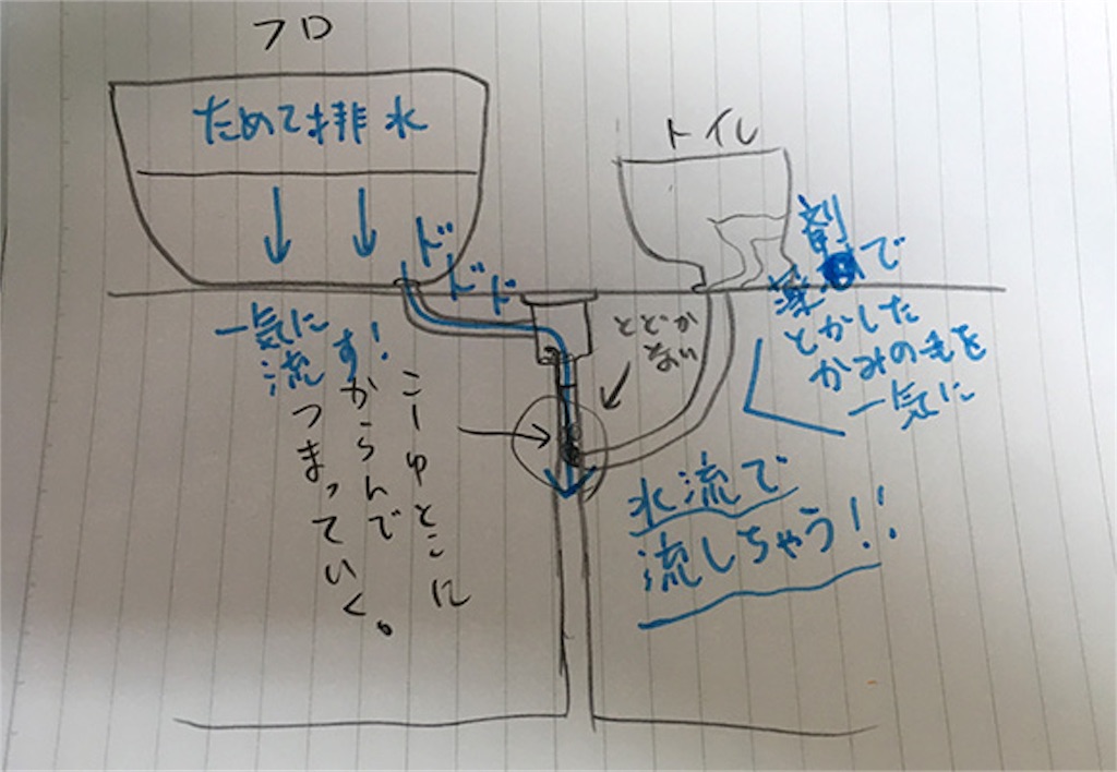 f:id:gohatori:20191013064943j:image