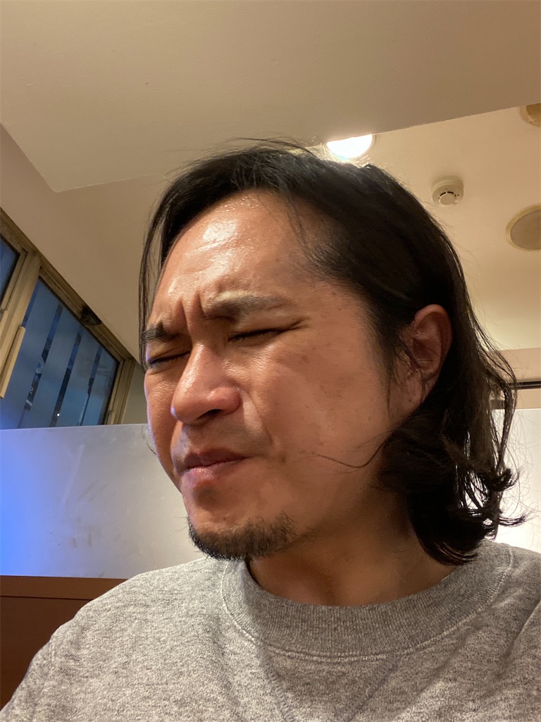 f:id:gohatori:20200307220638j:image
