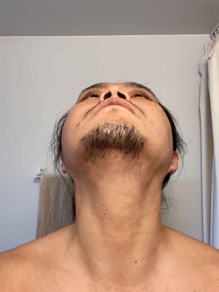 f:id:gohatori:20200311071730j:image f:id:gohatori:20200311071730j:image