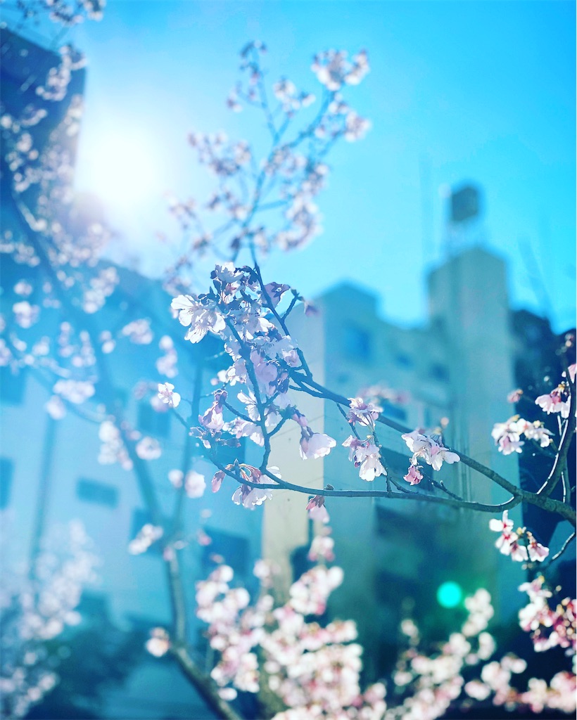 f:id:gohatori:20200318105039j:image f:id:gohatori:20200318105039j:image