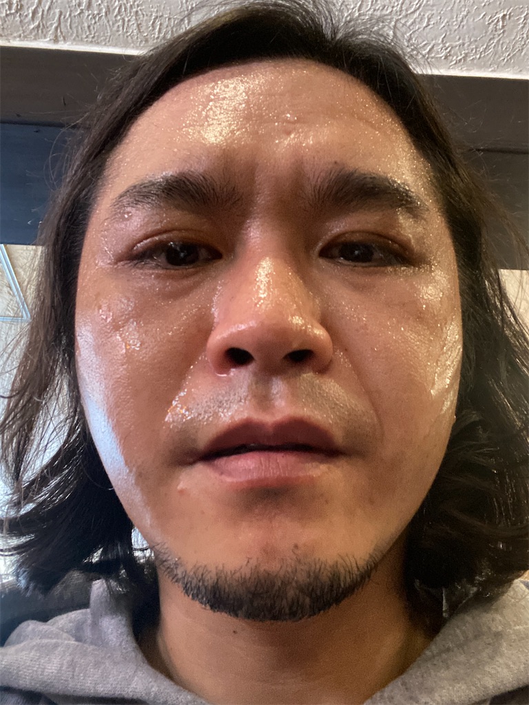 f:id:gohatori:20200322072019j:image