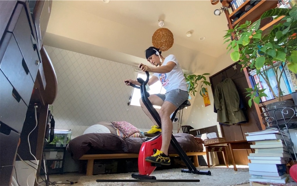 f:id:gohatori:20200425113036j:image