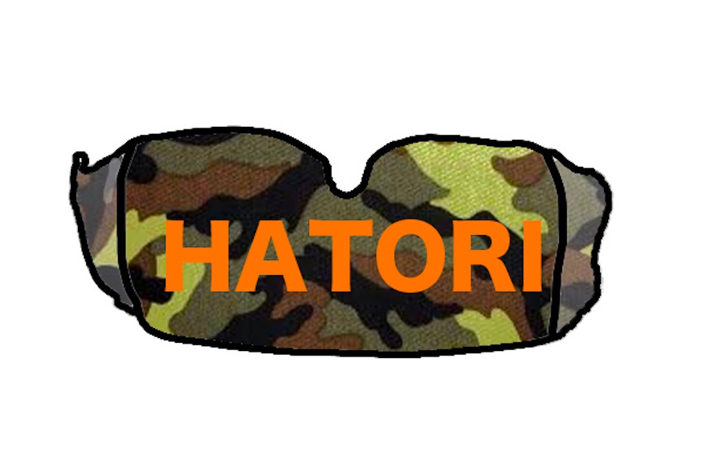 f:id:gohatori:20201023084403j:image