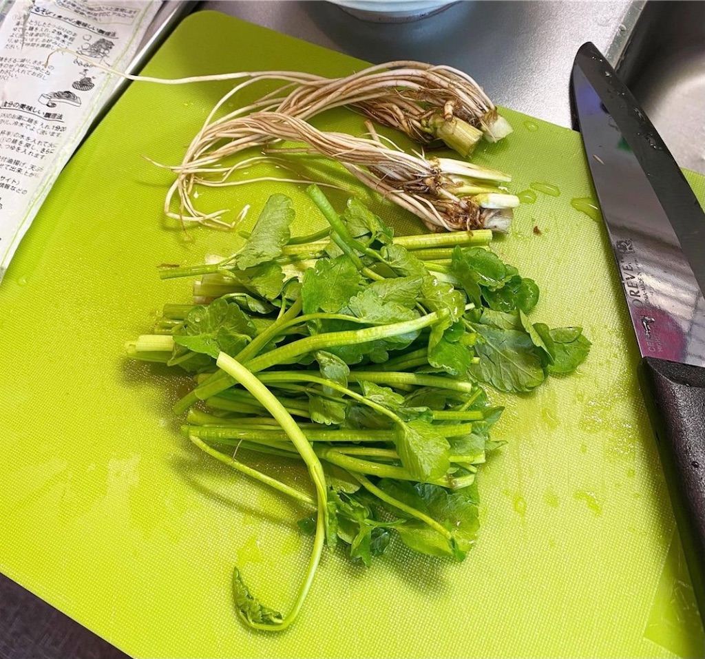 f:id:gohatori:20201220103600j:image f:id:gohatori:20201220103600j:image