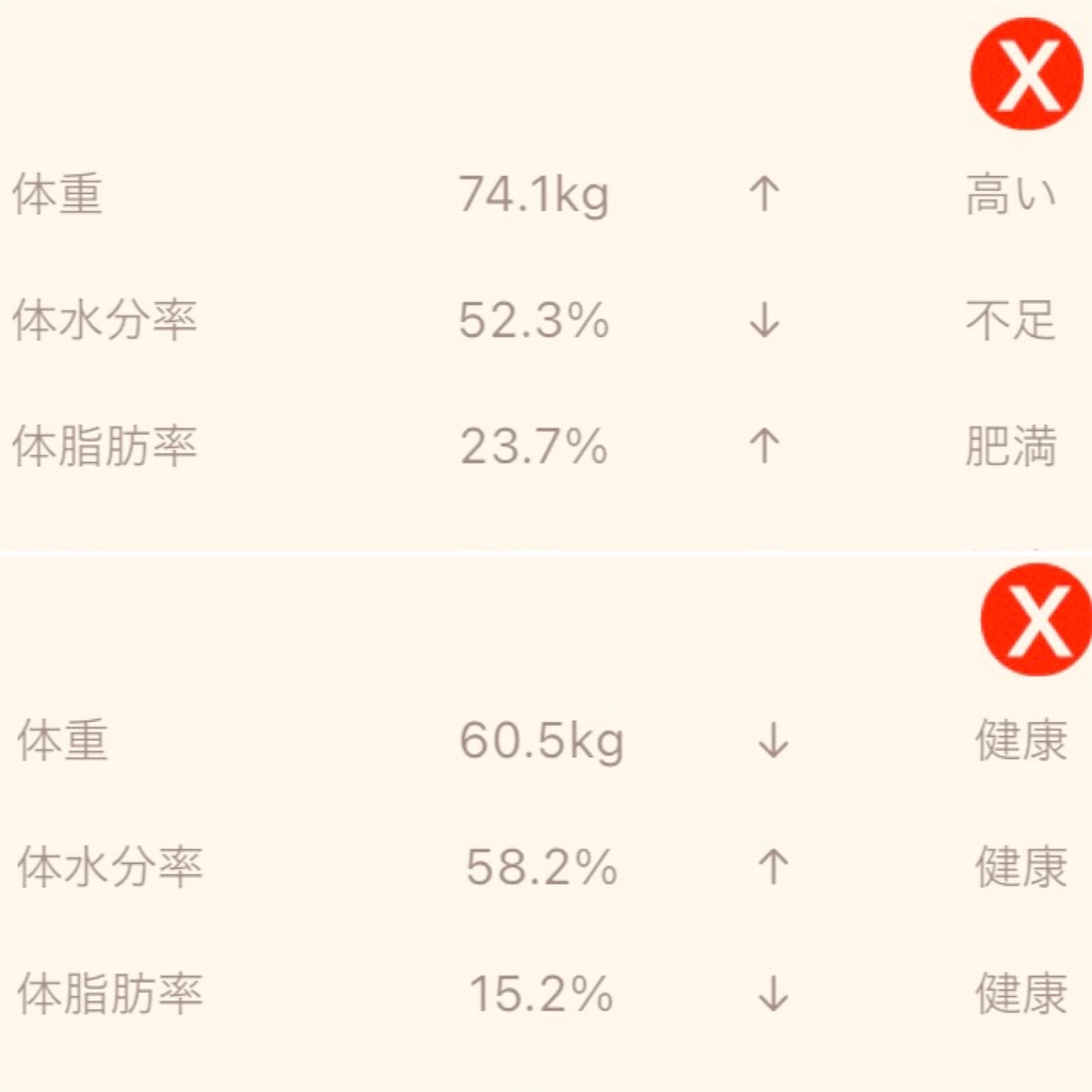 f:id:gohatori:20210226090932j:image