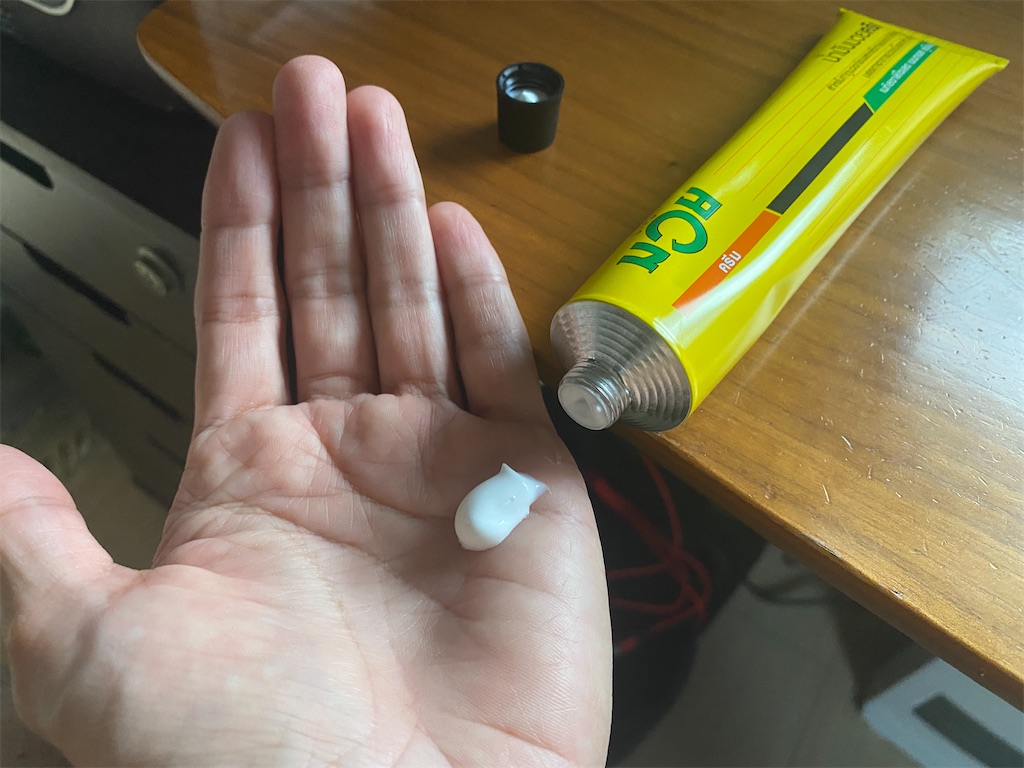 f:id:gohatori:20210330093252j:image