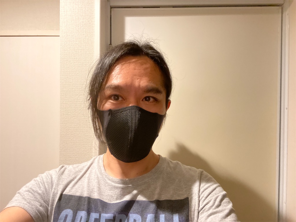 f:id:gohatori:20210401061351j:image