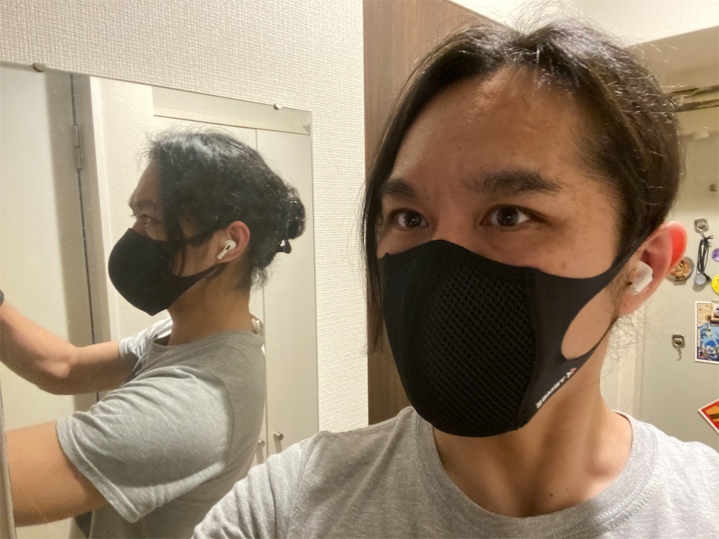 f:id:gohatori:20210401061359j:image