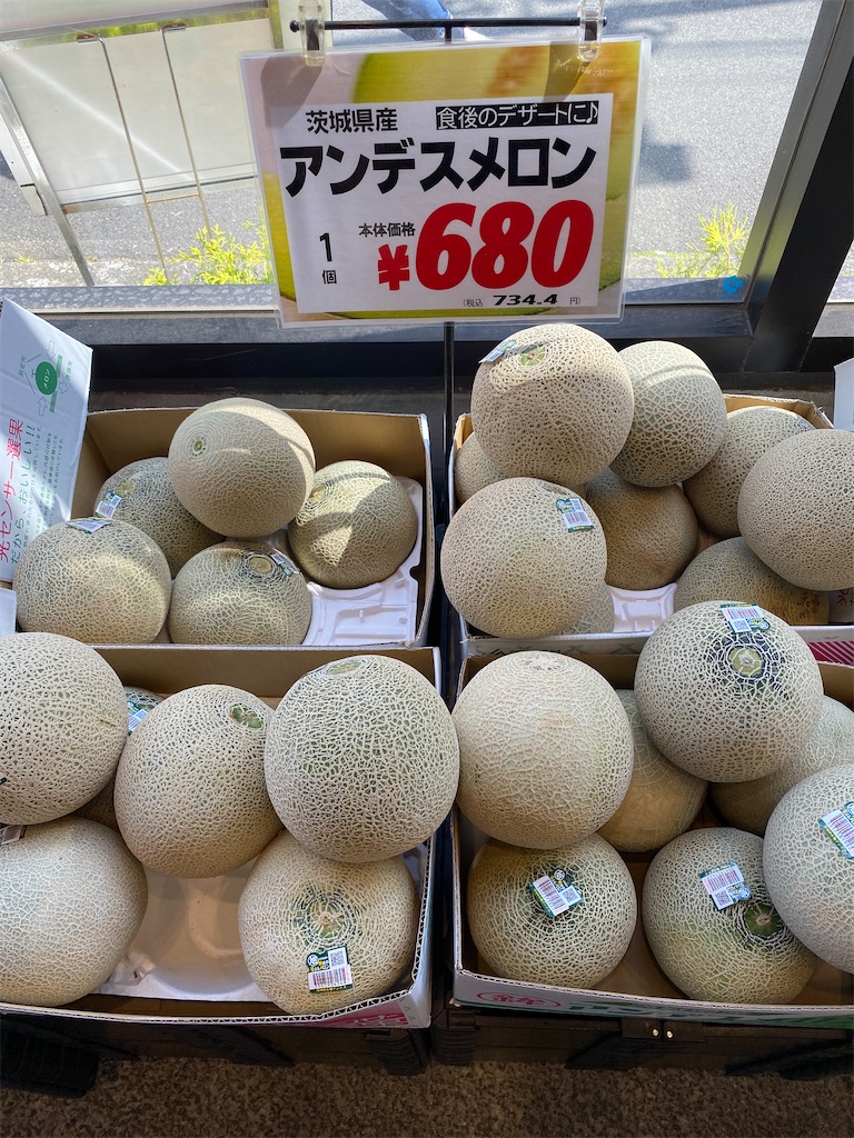f:id:gohatori:20210606214521j:image