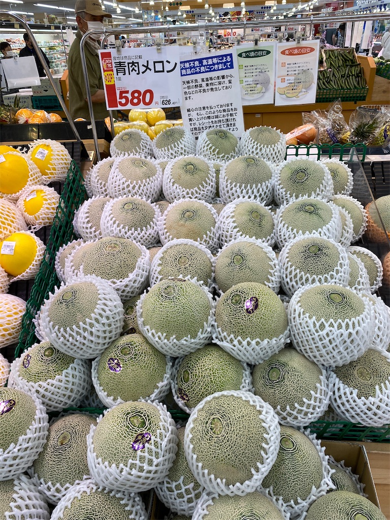 f:id:gohatori:20210627060634j:image f:id:gohatori:20210627060634j:image