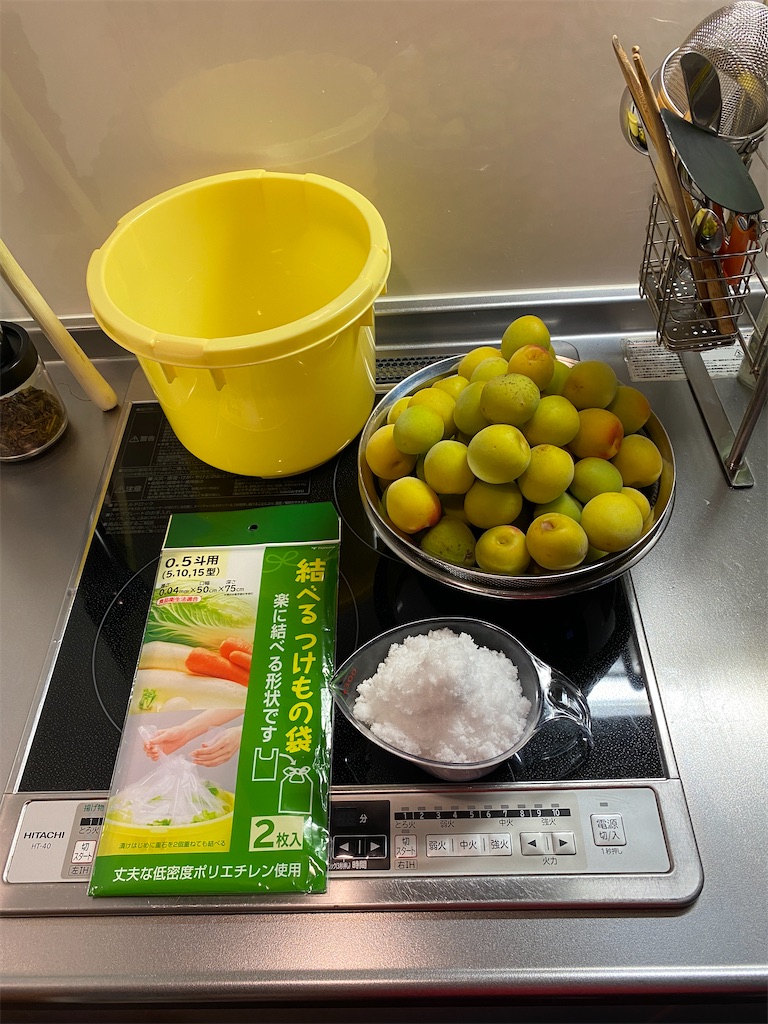 f:id:gohatori:20210628051804j:image f:id:gohatori:20210628051804j:image
