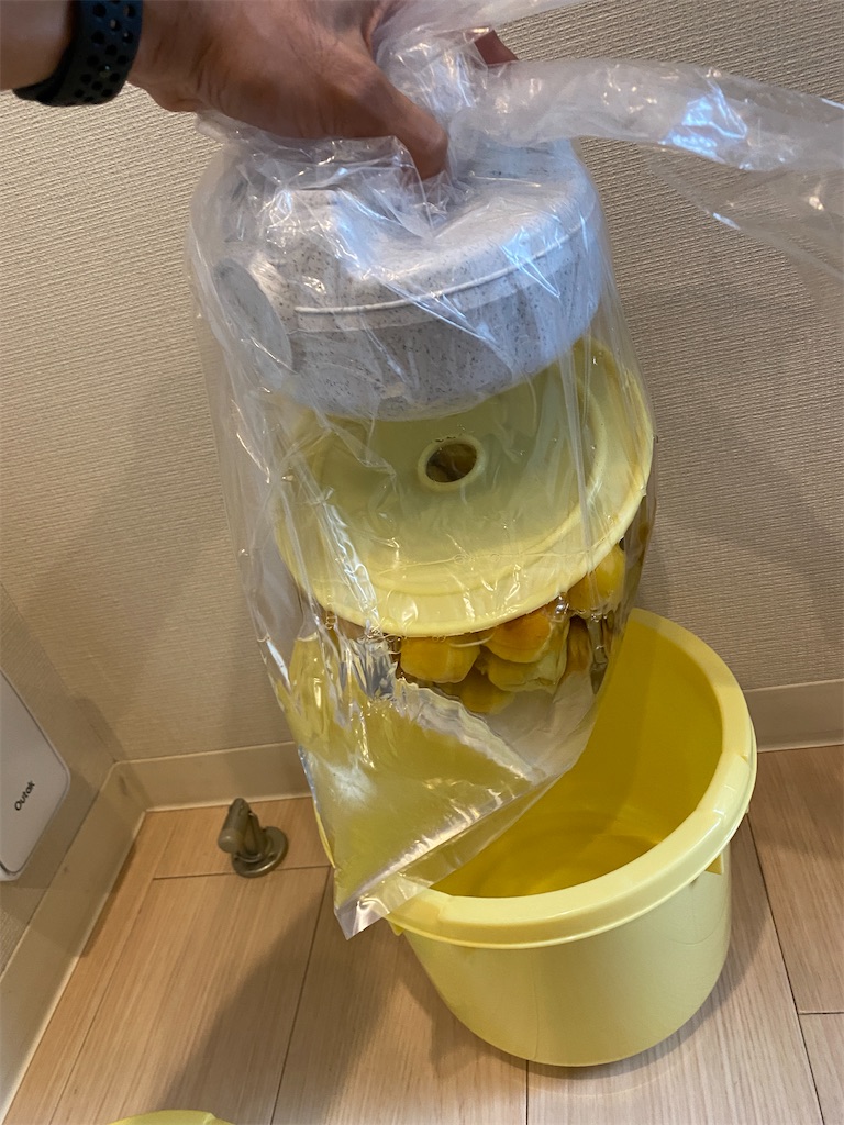 f:id:gohatori:20210628051842j:image f:id:gohatori:20210628051842j:image
