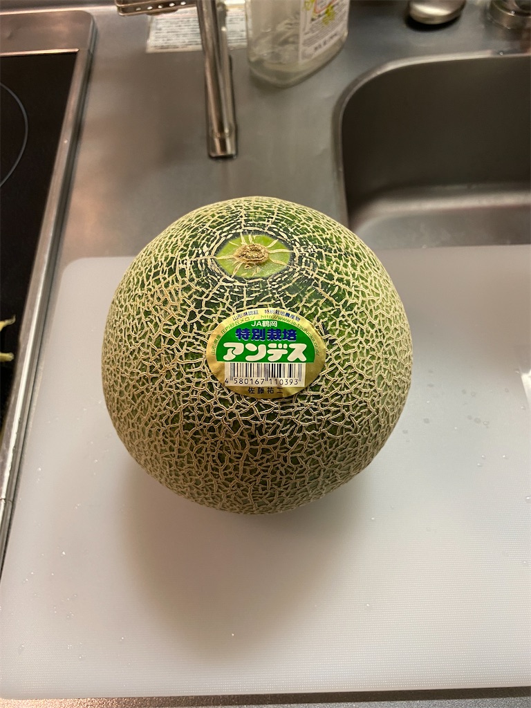 f:id:gohatori:20210628222619j:image