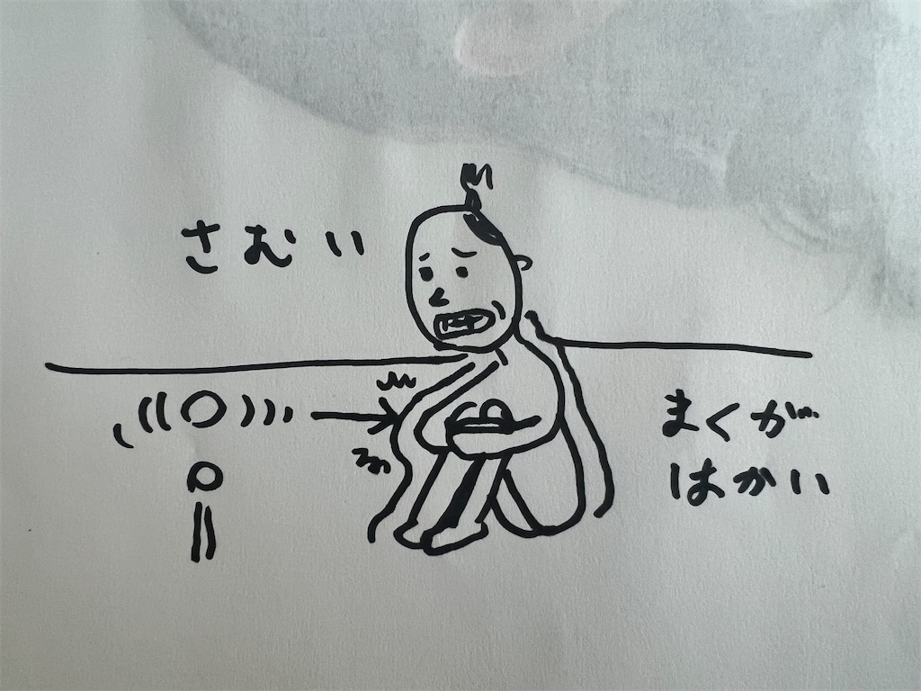 f:id:gohatori:20220320074644j:image
