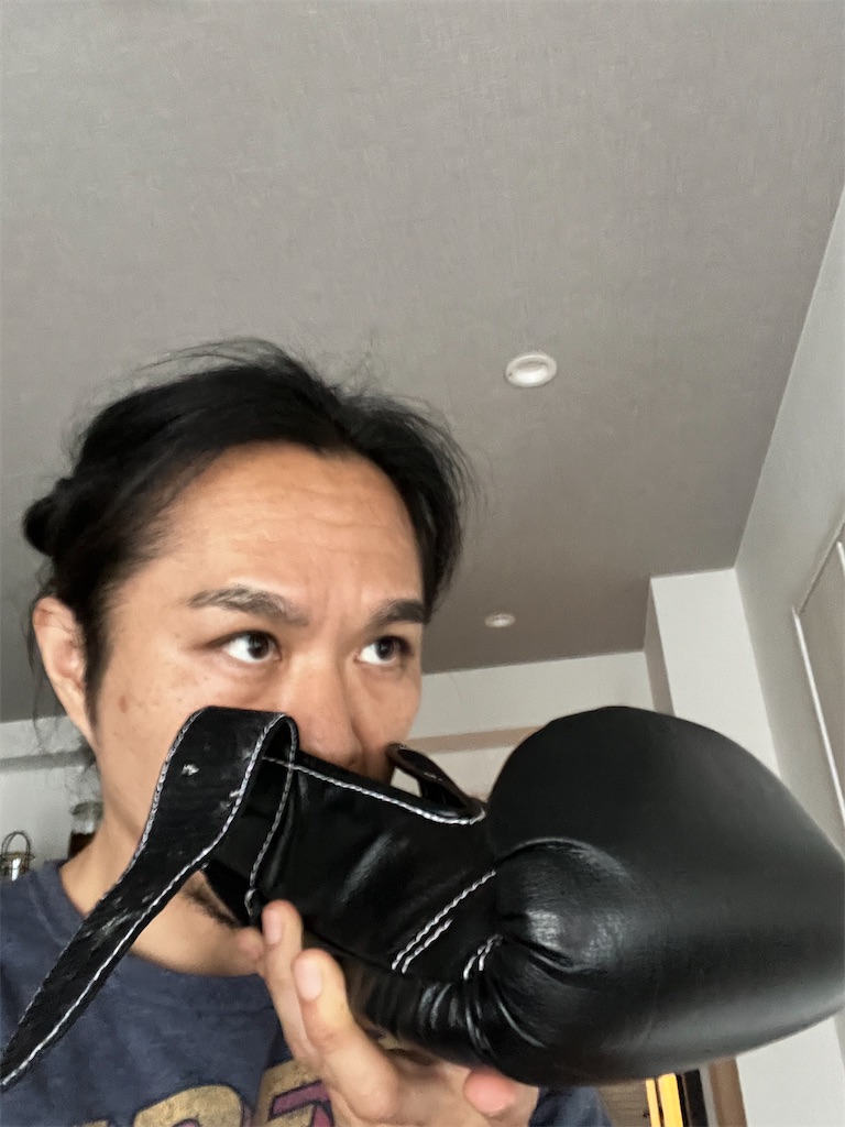 f:id:gohatori:20220508072727j:image