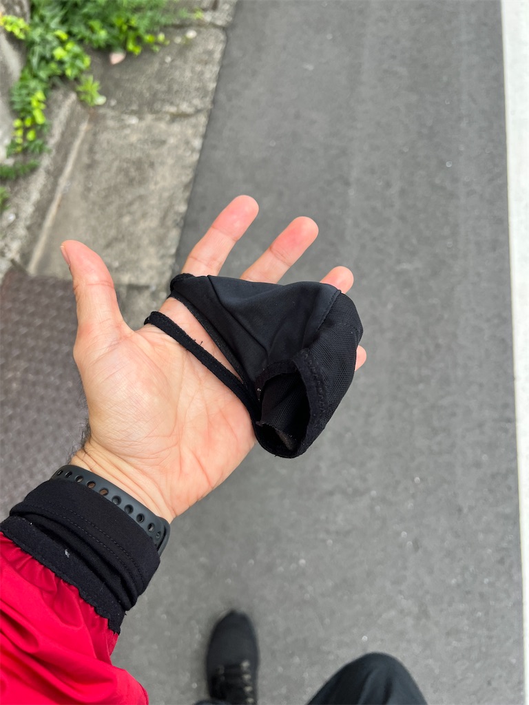 f:id:gohatori:20220619074508j:image