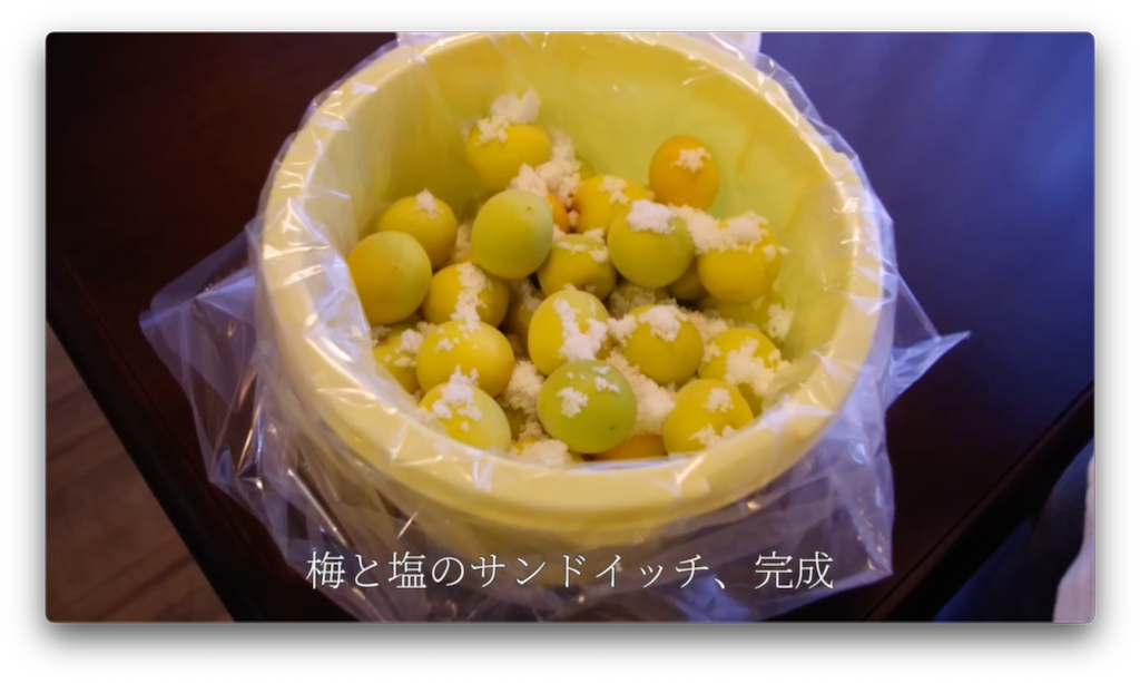 f:id:gohatori:20220719204353p:image