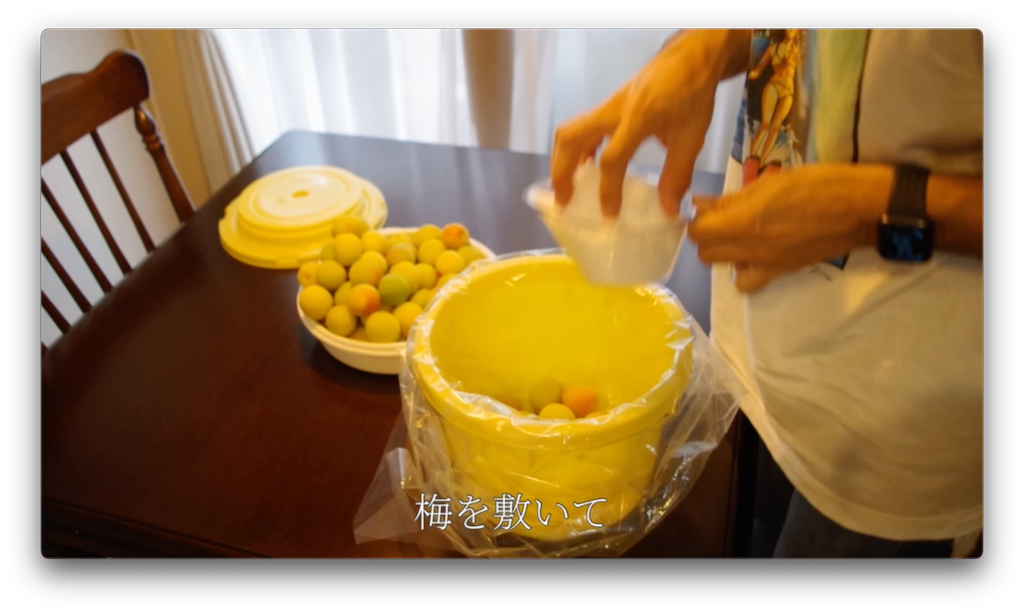 f:id:gohatori:20220719204444p:image