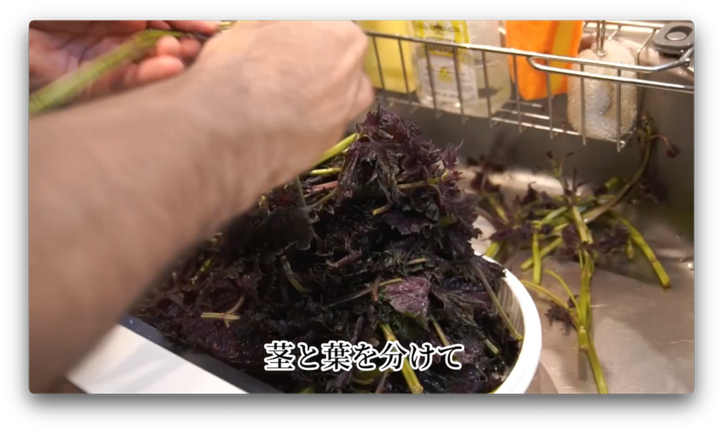 f:id:gohatori:20220719213821p:image