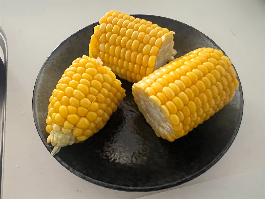 f:id:gohatori:20220723064452j:image